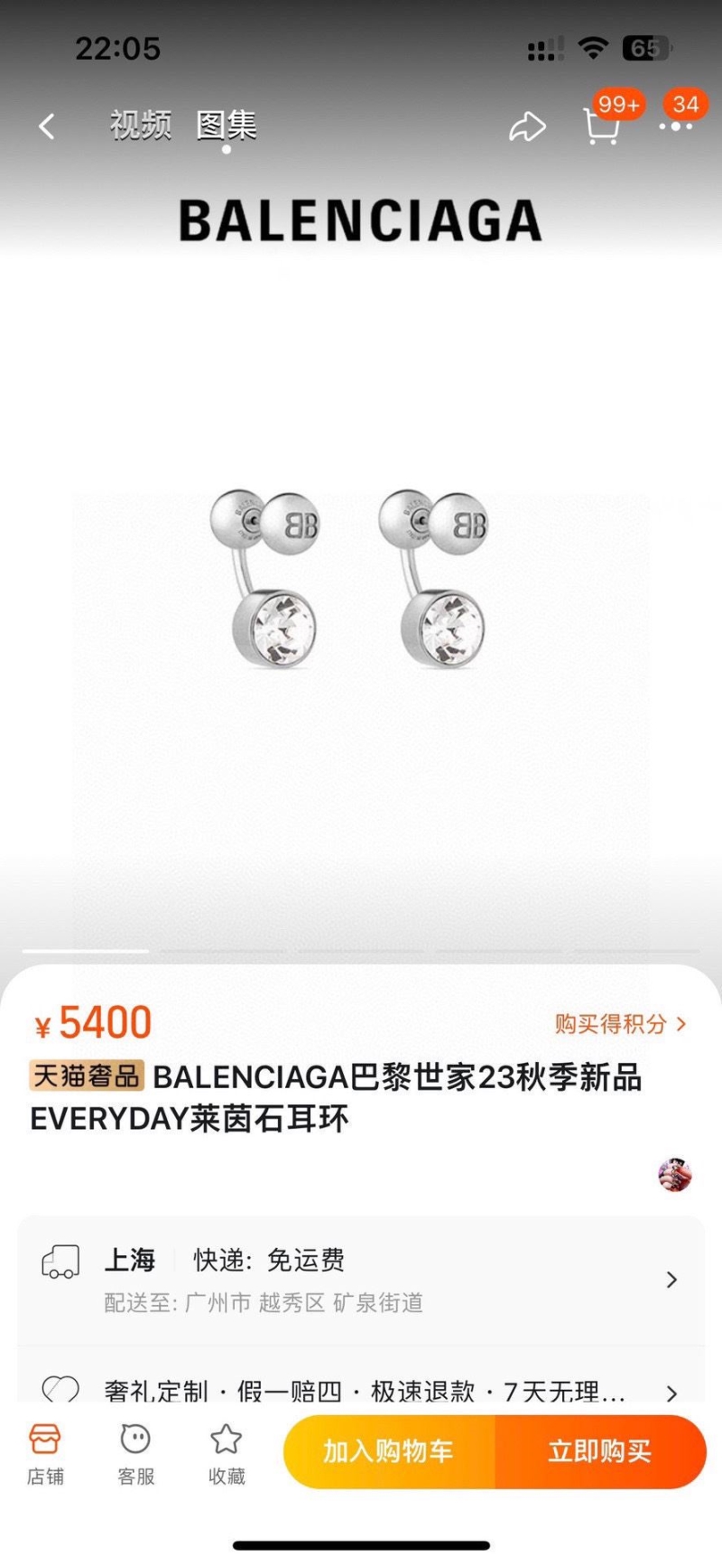 Burberry Earrings